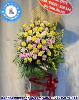 Hoa Khai Trương 43